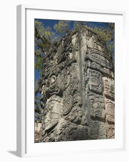 Mayan Glyphs on the Side of Stela, Copan Archaeological Park, UNESCO World Heritage Site, Honduras-null-Framed Photographic Print