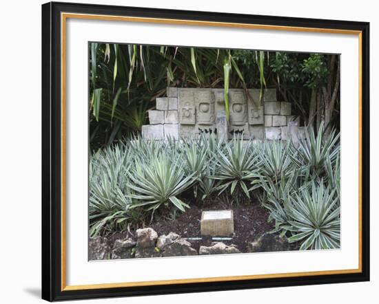 Mayan Sculpture, Chankanaab National Park, Cozumel Island (Isla De Cozumel), Quintana Roo, Mexico, -Wendy Connett-Framed Photographic Print