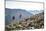 Mayan Smith-Gobat & Ben Rueck Go For High Elevation Trail Run, Backcountry Of Above Marble, CO-Dan Holz-Mounted Photographic Print