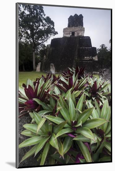 Mayan Structure, Tikal, UNESCO World Heritage Site, Guatemala, Central America-Colin Brynn-Mounted Photographic Print