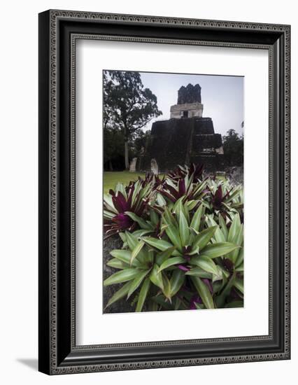 Mayan Structure, Tikal, UNESCO World Heritage Site, Guatemala, Central America-Colin Brynn-Framed Photographic Print