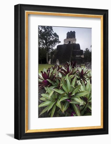 Mayan Structure, Tikal, UNESCO World Heritage Site, Guatemala, Central America-Colin Brynn-Framed Photographic Print