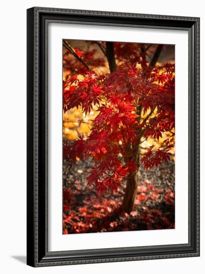 Maybe-Philippe Sainte-Laudy-Framed Photographic Print