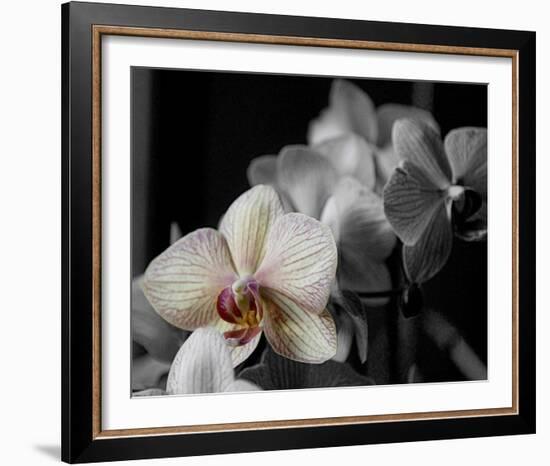 Mayfair-Dominique Obadia-Framed Art Print