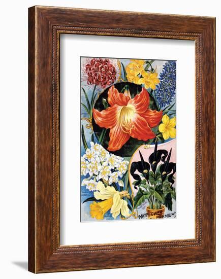 Mayflower Premium-null-Framed Art Print