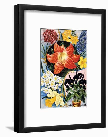 Mayflower Premium-null-Framed Art Print