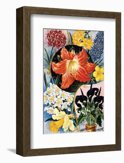 Mayflower Premium-null-Framed Art Print