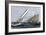 Mayflower, Puritan, and Priscilla in An Eastern Yacht Club Regatta, Marblehead MA, 1889-null-Framed Giclee Print