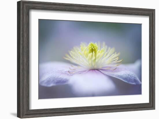 Mayleen-Jacky Parker-Framed Photographic Print