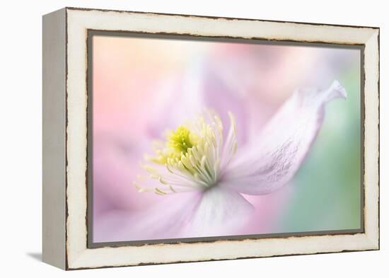 Mayleen-Jacky Parker-Framed Premier Image Canvas