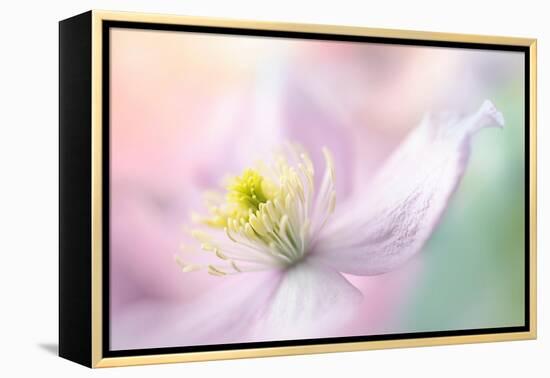 Mayleen-Jacky Parker-Framed Premier Image Canvas