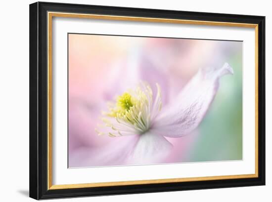 Mayleen-Jacky Parker-Framed Giclee Print