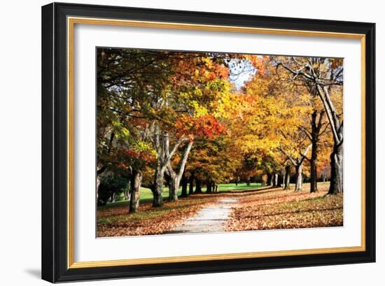 Maymont Maples I-Alan Hausenflock-Framed Photographic Print