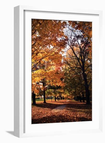 Maymont Maples III-Alan Hausenflock-Framed Photographic Print