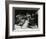 Maynard Ferguson Playing the Trumpet-Denis Williams-Framed Photographic Print