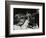 Maynard Ferguson Playing the Trumpet-Denis Williams-Framed Photographic Print