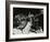 Maynard Ferguson Playing the Trumpet-Denis Williams-Framed Photographic Print