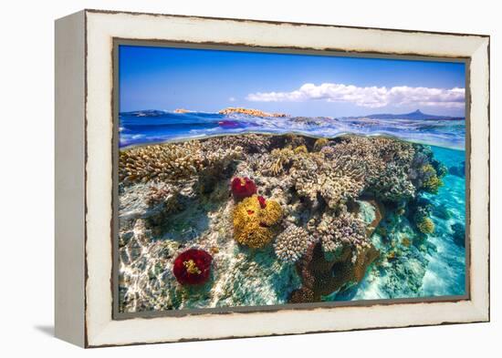 Mayotte : the Reef-Barathieu Gabriel-Framed Premier Image Canvas