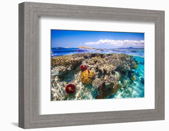 Mayotte : the Reef-Barathieu Gabriel-Framed Photographic Print