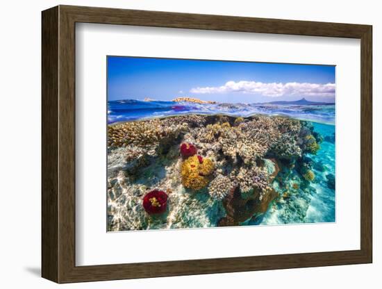 Mayotte : the Reef-Barathieu Gabriel-Framed Photographic Print