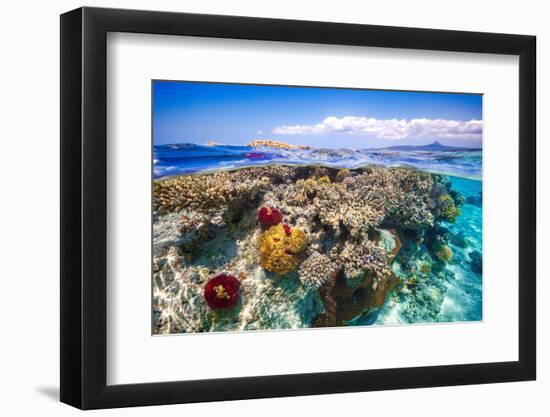 Mayotte : the Reef-Barathieu Gabriel-Framed Photographic Print