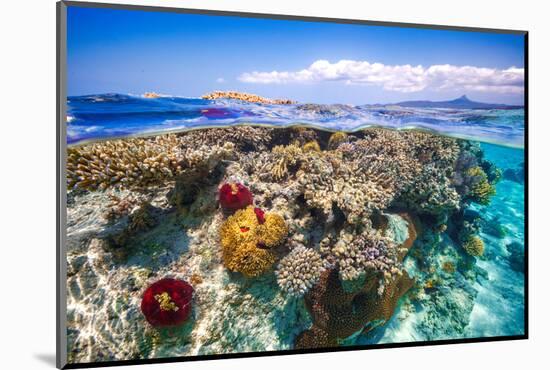 Mayotte : the Reef-Barathieu Gabriel-Mounted Photographic Print