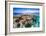 Mayotte : the Reef-Barathieu Gabriel-Framed Photographic Print