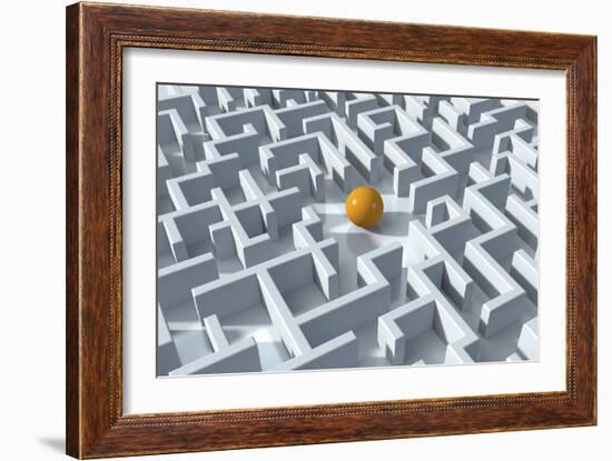 Maze, Artwork-David Mack-Framed Photographic Print