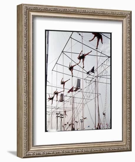 Maze of Ringling Bros. New Outdoor Rigging Supporting Trapezes and Ropes-Frank Scherschel-Framed Photographic Print