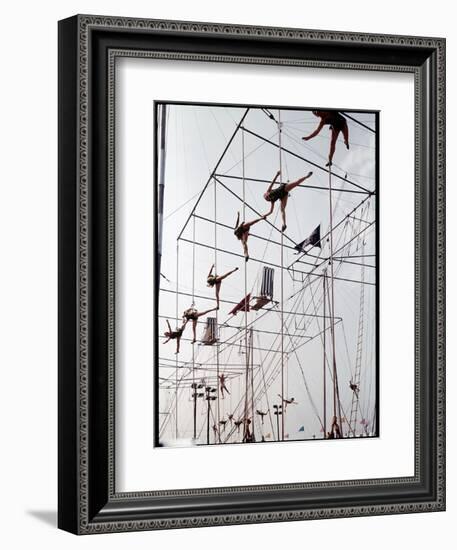 Maze of Ringling Bros. New Outdoor Rigging Supporting Trapezes and Ropes-Frank Scherschel-Framed Photographic Print