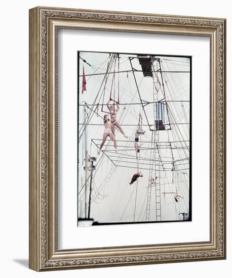 Maze of Ringling Bros. New Outdoor Rigging Supporting Trapezes and Ropes-Frank Scherschel-Framed Photographic Print