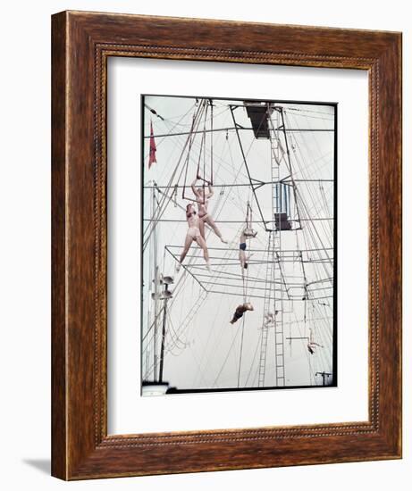 Maze of Ringling Bros. New Outdoor Rigging Supporting Trapezes and Ropes-Frank Scherschel-Framed Photographic Print