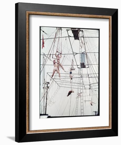 Maze of Ringling Bros. New Outdoor Rigging Supporting Trapezes and Ropes-Frank Scherschel-Framed Photographic Print