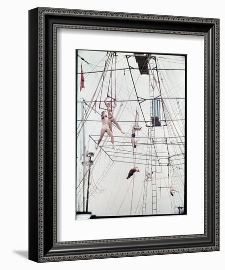 Maze of Ringling Bros. New Outdoor Rigging Supporting Trapezes and Ropes-Frank Scherschel-Framed Photographic Print