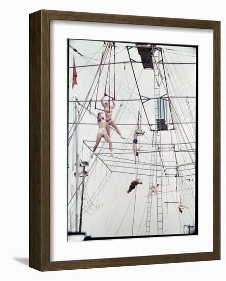 Maze of Ringling Bros. New Outdoor Rigging Supporting Trapezes and Ropes-Frank Scherschel-Framed Photographic Print