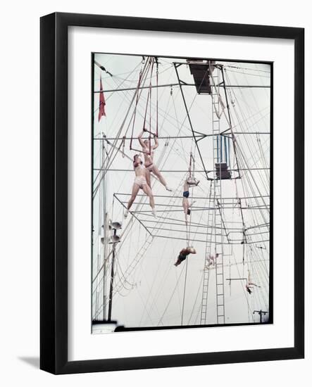 Maze of Ringling Bros. New Outdoor Rigging Supporting Trapezes and Ropes-Frank Scherschel-Framed Photographic Print