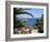 Mazzaro Beach, Taormina, Island of Sicily, Italy, Mediterranean-J Lightfoot-Framed Photographic Print
