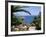 Mazzaro Beach, Taormina, Island of Sicily, Italy, Mediterranean-J Lightfoot-Framed Photographic Print