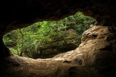 Green Trees View from the inside of the Cave-mazzzur-Photographic Print