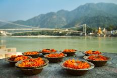 Puja Flowers Offering for the Ganges River in Rishikesh, India-mazzzur-Photographic Print