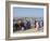 Mbour Fish Market, Mbour, Senegal, West Africa, Africa-Robert Harding-Framed Photographic Print