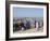 Mbour Fish Market, Mbour, Senegal, West Africa, Africa-Robert Harding-Framed Photographic Print