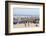 Mbour Fishing Harbour on the Petite Cote (Small Coast), Senegal, West Africa, Africa-Bruno Morandi-Framed Photographic Print