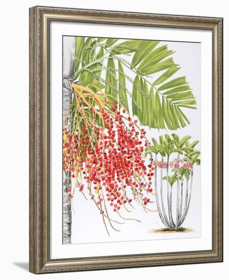 Mcarthur Palm-Marion Sheehan-Framed Collectable Print