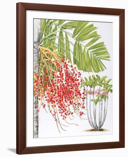 Mcarthur Palm-Marion Sheehan-Framed Collectable Print