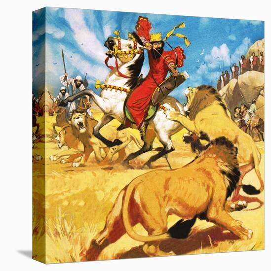 Stretched Canvas Print, , large