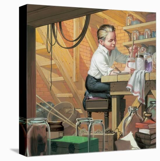 Stretched Canvas Print, , large