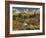 Mcclure Pass at Sunset During the Peak of Fall Colors in Colorado-Kyle Hammons-Framed Photographic Print