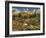 Mcclure Pass at Sunset During the Peak of Fall Colors in Colorado-Kyle Hammons-Framed Photographic Print