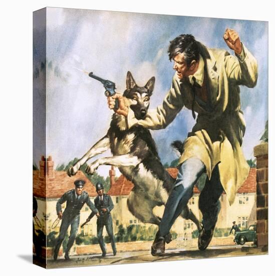 Stretched Canvas Print, , large